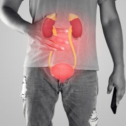 kidney-urethra-illustration-men-body-against-gray-background_46527-972